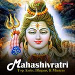 Mahashivratri - Top Aartis, Bhajans & Mantras - Anju Song Download